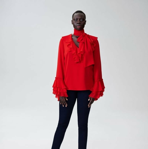 Rodarte x Universal Standard blouse - Picture 1 of 2